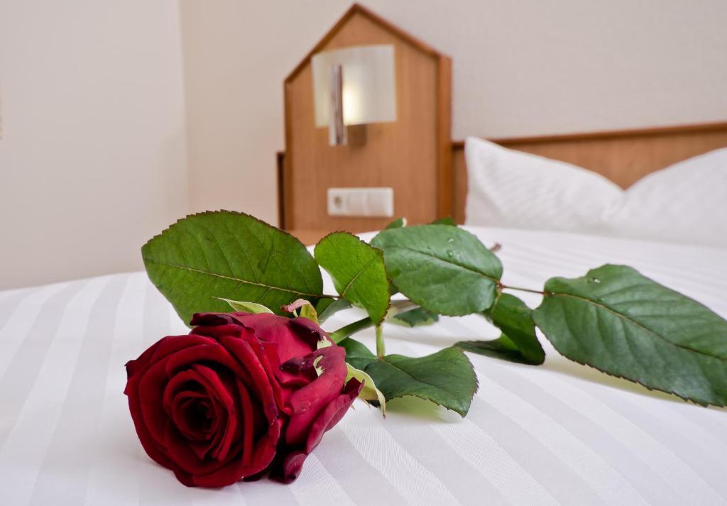 Serviced Apartments Kurpfalzhof Oftersheim Quarto foto