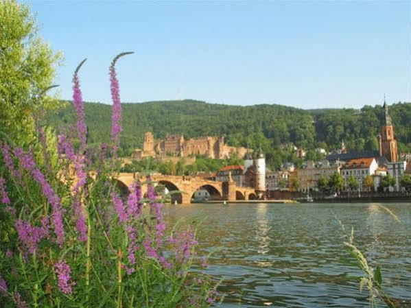 Serviced Apartments Kurpfalzhof Oftersheim Exterior foto